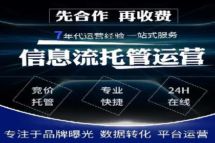 某品牌SEM广告投放效果全解析